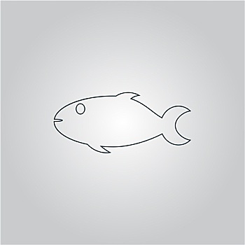 鱼肉,象征,白色背景,背景