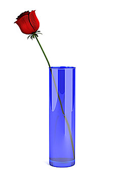 蓝色,玻璃花瓶,玫瑰,隔绝