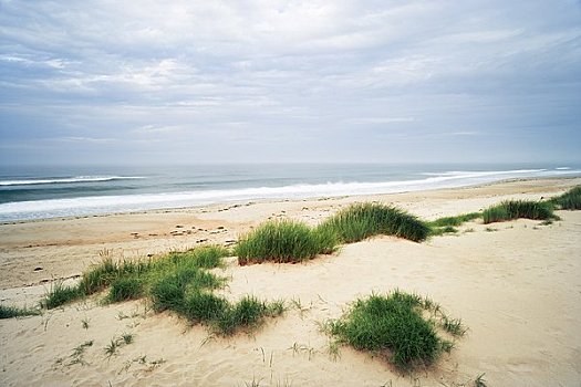 海滩,背影,沙,林第斯法恩岛,诺森伯兰郡,英格兰