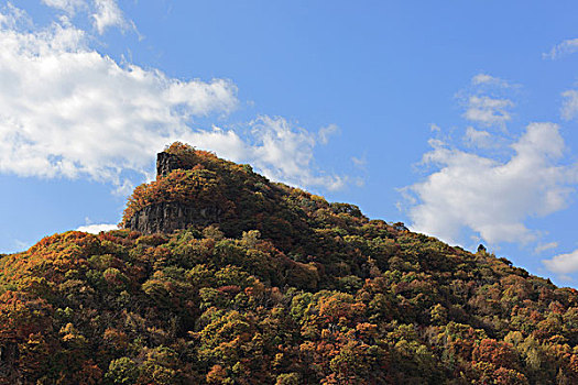 山,树木,秋天