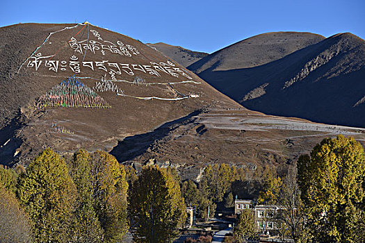 新都桥高尔寺山