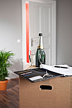 香槟,合同,客厅,搬箱子