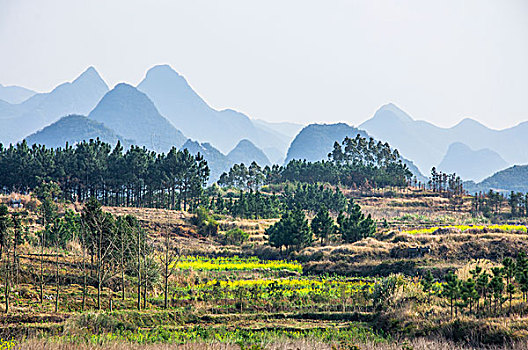 田园风光