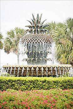喷泉,公园,水岸,查尔斯顿,南卡罗来纳,美国