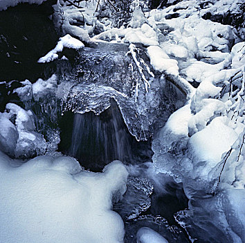 雪,冰,小,溪流,奥地利