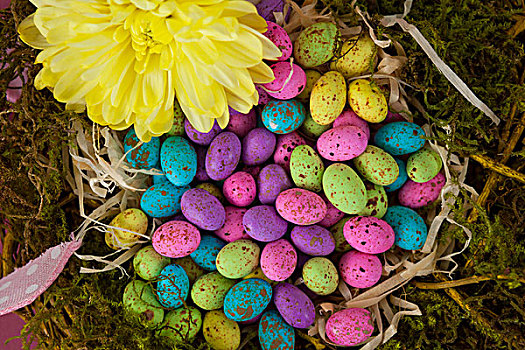 彩色,复活节彩蛋,柳条篮,花,特写