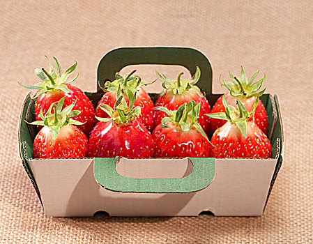 扁篮,草莓
