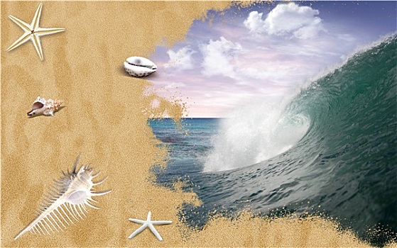 海浪,沙滩,壳