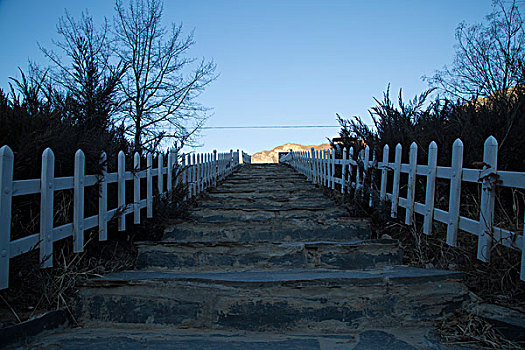 山,山路,弯道,冬天