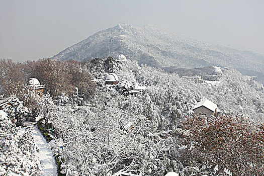 紫金山天文台