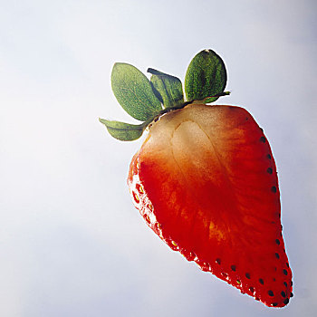 产品,草莓