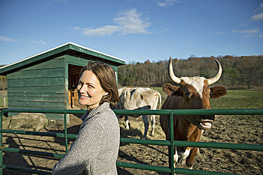 动物,女人,旁侧,栅栏,喂食,两个,母牛