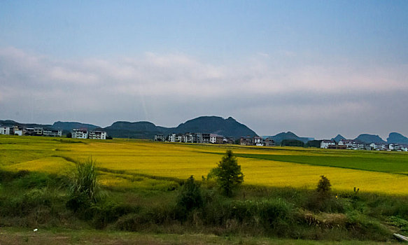 婺源乡村田园风光