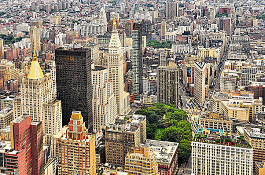 纽约,曼哈顿,街道,鸟,风景