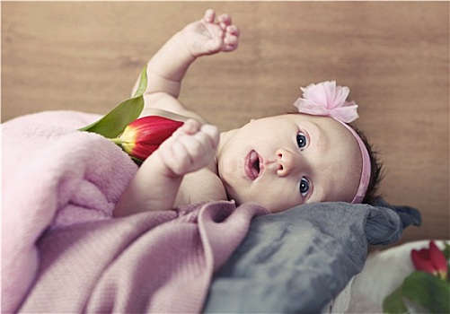婴儿,粉色,花