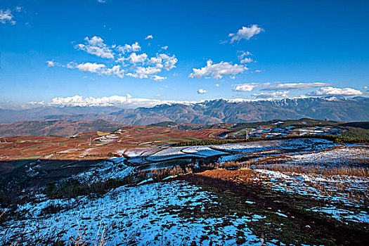 云南东川雪后,锦绣园,红土地