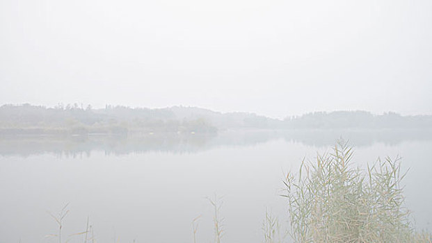 雾湖