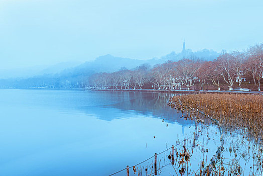 杭州西湖北山街秋景