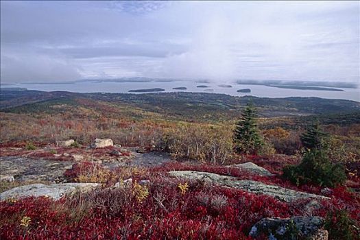 航拍,酒吧,卡迪拉克,山,秋天,山漠岛,缅因,美国