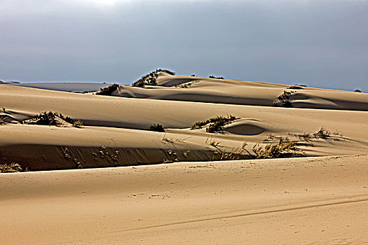 沙丘,沙漠,靠近,湾,纳米比亚