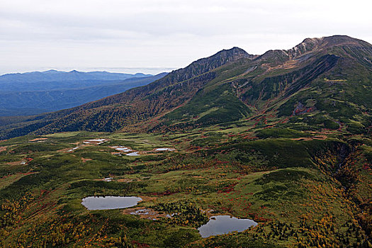 秋色,山