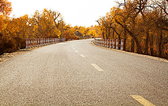 沙漠公路