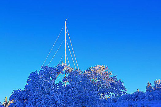 林海雪原中的信号塔