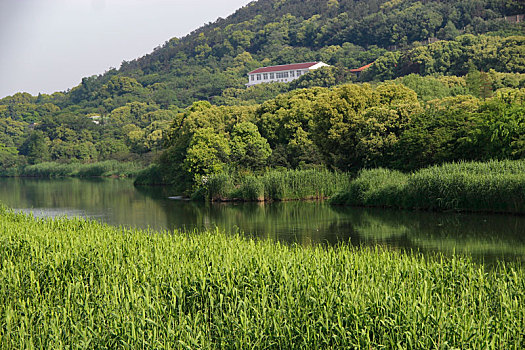 绿色乡野,绿水青山,绿色中国