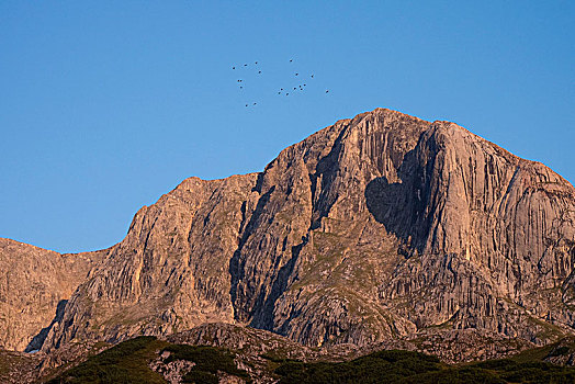 顶峰,早晨,亮光,萨尔茨堡,奥地利