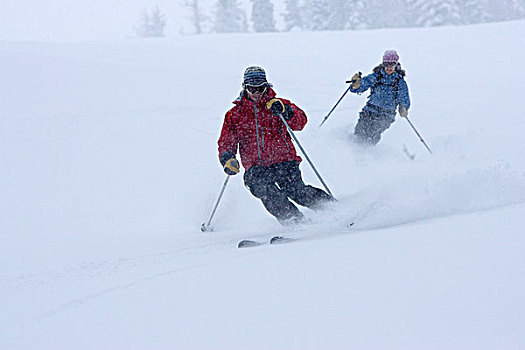 滑雪,享受,粉末,白天,大,山,胜地,靠近,白鲑,蒙大拿