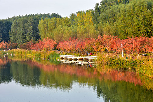 风景