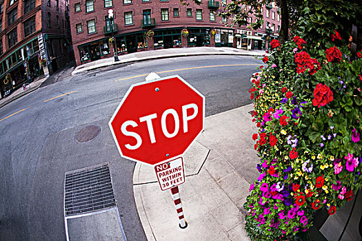 停车标志,街道,西雅图,华盛顿,美国