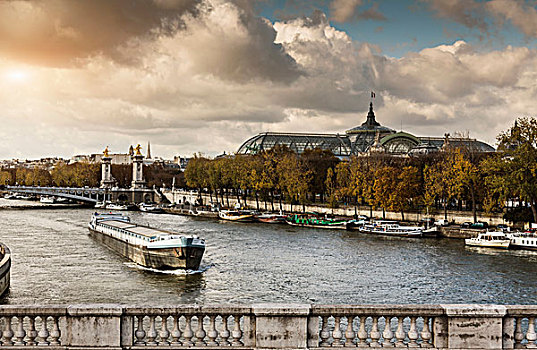 塞纳河,大皇宫,远景,巴黎,法国