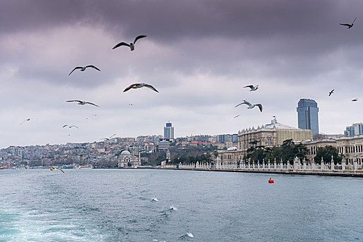 伊斯坦布尔城市风光
