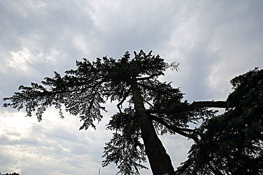 南京师范大学