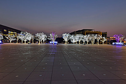 广场上的树木彩灯