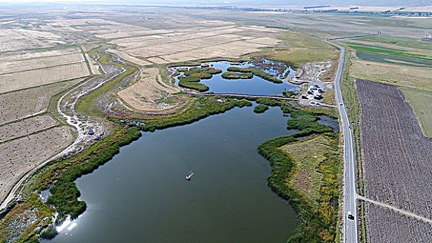 高家湖湿地生态公园