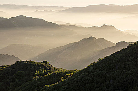 圣莫尼卡,山,国家休闲度假区,加利福尼亚