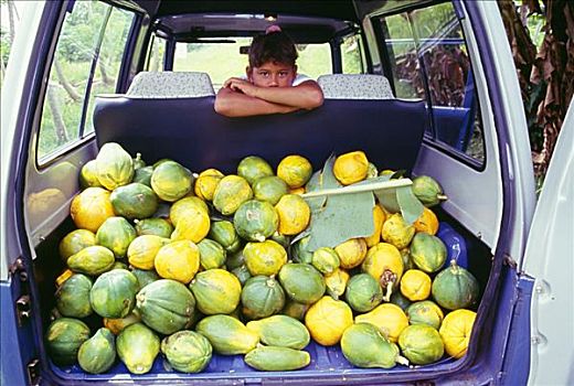 库克群岛,女孩,卡车,看,上方,正面,座椅,背影,木瓜,出售
