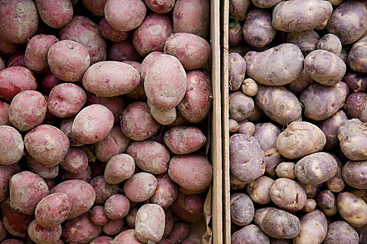 土豆,农贸市场