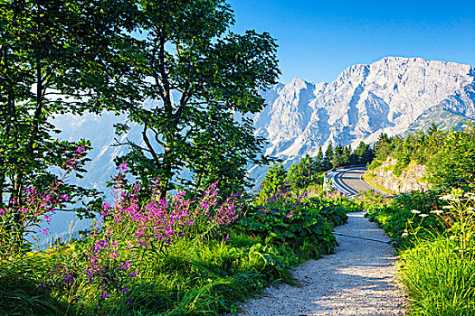 山路,贝希特斯加登阿尔卑斯山,巴伐利亚,德国