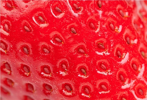 微距,草莓,白色背景,背景