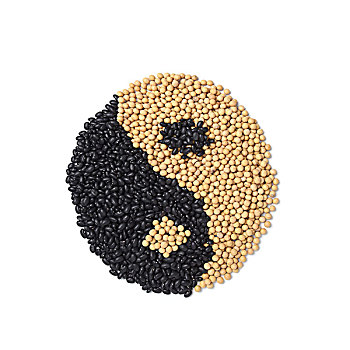 黑黄豆之创意阴阳图案