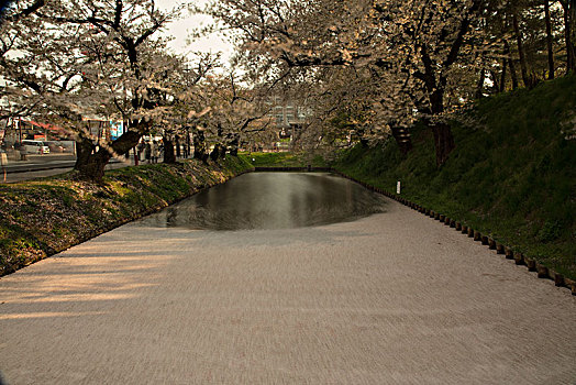 青森县弘前公园