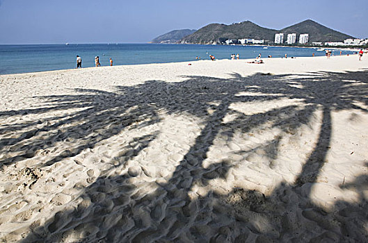 大东海,阳光投射在沙滩上的树影,海南三亚