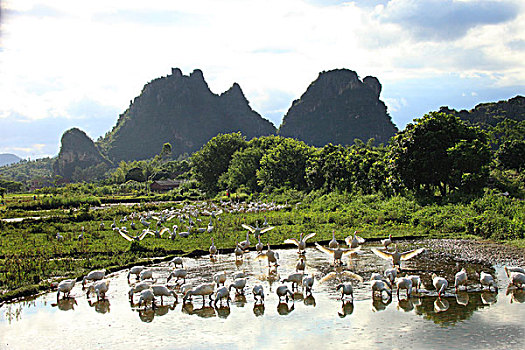 阳江,阳春市