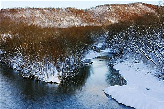 冬季风景,北海道,日本