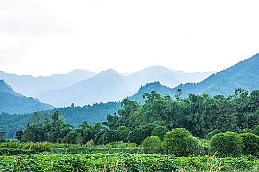 桂林山景秋色