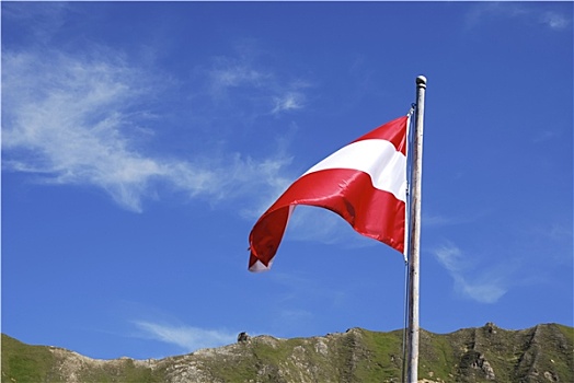 旗帜,奥地利