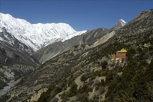 寺院,喇嘛寺,山,斜坡,冰冠,巨大,背景,靠近